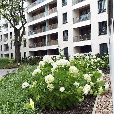 Vena Apartman Wrocław