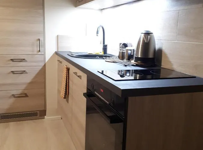 Vena Apartment Wroclaw